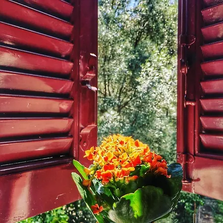 Camelia Lägenhetshotell 3*