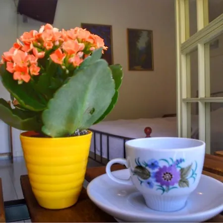 Camelia Lägenhetshotell