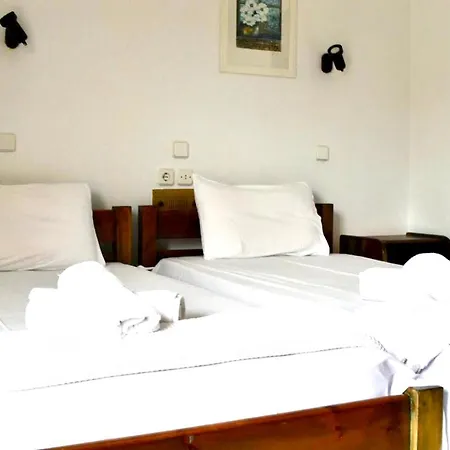 Camelia Aparthotel Yénion