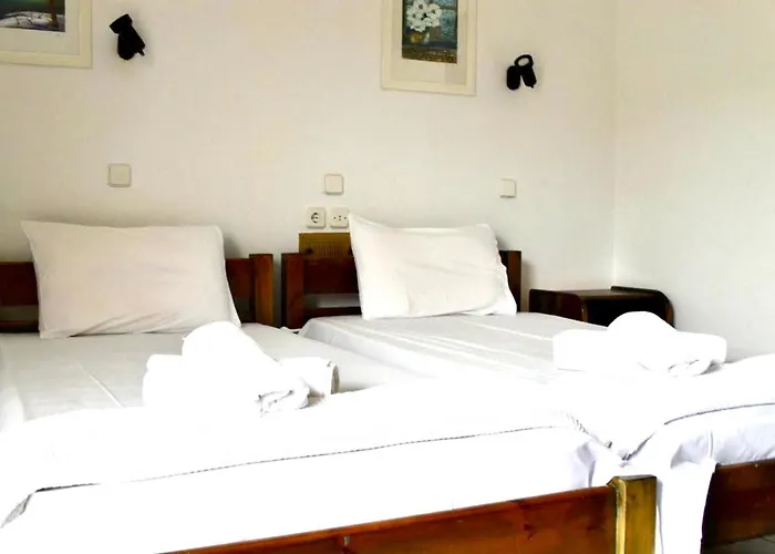 Camelia Apartahotel Yénion