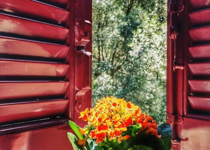 Camelia Apartahotel 3*