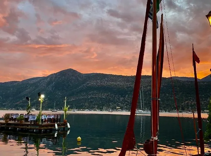 Apartahotel Camelia 3*