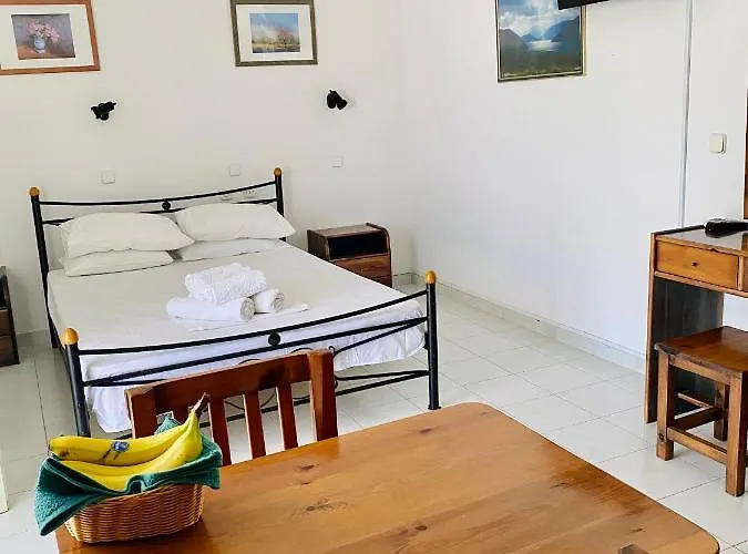 Camelia Apartahotel 3*