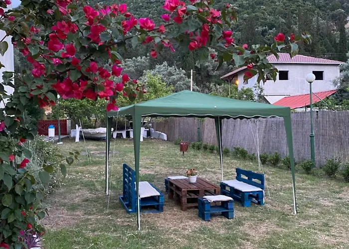 Camelia Apartahotel 3*